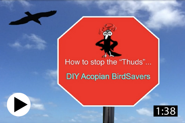 Acopian BirdSavers
