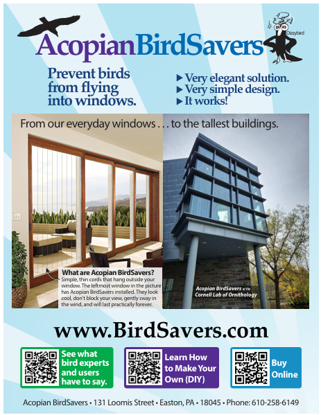 Open the 8-1/2 x 11 BirdSavers Flyer